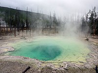 Yellowstone Norris Geyser Cistern spring (5).JPG